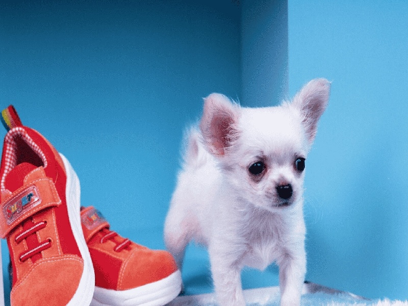 云南试管多少费用（试管移植当晚盗汗）